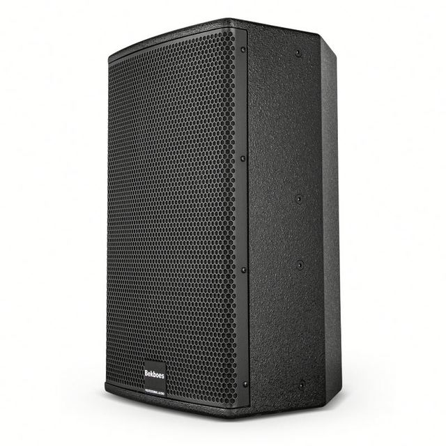 Bekboes X Series 10 Inch 2-Way Full Range Speaker for KTV, Bar, Stage and Home Audio
