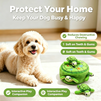 Jouet pour chien en peluche tortue 5 pièces personnalisé par le fabricant, jouet interactif couineur durable anti-ennui pour animaux de compagnie