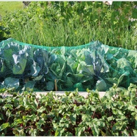 Kassen insectennet anti-insectengaas voor groentetuin, boerderij, plantenbescherming, landbouw insectengaas