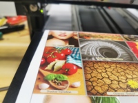 Imprimante UV A3 FocusInc pour PVC, carrelage céramique, impression commerciale, impression de jeux, impression de coques de téléphone