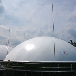 Biogaz digestore tetto montato su biogas impianto Rifiuti digestore per Fabbrica di Olio di Palma - Product Image 3