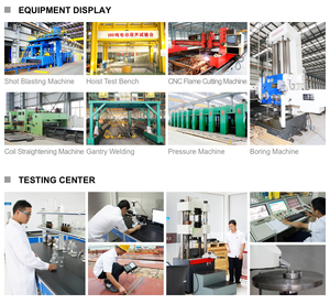 5t 10t <span class=keywords><strong>20t</strong></span> النوع التقليدي LX منخفض الإرتفاع ارتفاع رفع عالي Underslung فردي - Product Image 6