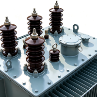 Transformateur immergé dans du liquide réfrigérant ONAN 35kV 3150kVA S22-3150/35 Extérieur Intérieur pour la distribution d'énergie des bâtiments commerciaux