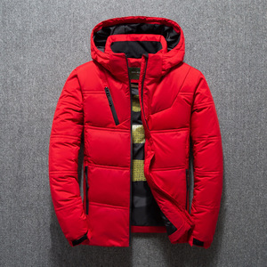 2024 moda al por mayor ganso abajo <span class=keywords><strong>abrigo</strong></span> de burbujas brillante con capucha hombres fugui chaqueta de burbujas con logotipo personalizado - Product Image 5