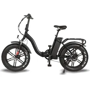 意大利热卖电动自行车，折叠胖ebike