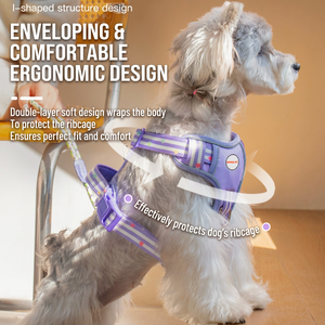 Harnais réfléchissant pour animaux de compagnie, gilet réglable en nylon et maille pour chien et chat avec laisse pour la promenade en extérieur - Product Image 3