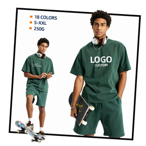 Camiseta Unisex de Estilo Urbano Vintage, Holgada y Bien Diseñada, 250GSM, Algodón, Impresión DTG, Logotipo Colorido en Gran Área - Product Image 1