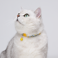 Colliers pour chats et chiens ajustables et colorés en gros, accessoires pour animaux de compagnie, boucle en nylon, sécurité anti-étranglement, logo personnalisé OEM