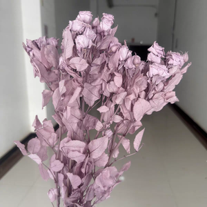 Ramo de Flores Secas en Oferta 2026, Flores Secas, Rosa Preservada, Eterna, Duradera, Infinita, Inmortal, Múltiples Rosas, Regalo - Product Image 5