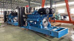 Grupo electrógeno de gas de 1MW, 2MW, 3MW, 4MW con motor Baudouin PLG-XGF para fabricación industrial PL - Product Image 2
