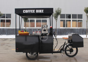 Triciclo eléctrico para congelador, carrito de venta al por menor de helados, frutas y café, para bebidas frías, bicicleta de carga eléctrica con paraguas - Product Image 4