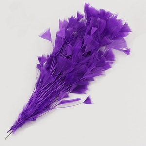 25-30CM fournitures de chapellerie montage plumes fleurs dépouillé <span class=keywords><strong>plume</strong></span> montage chapeaux <span class=keywords><strong>plume</strong></span> pour chapeau épingle à <span class=keywords><strong>cheveux</strong></span> - Product Image 6
