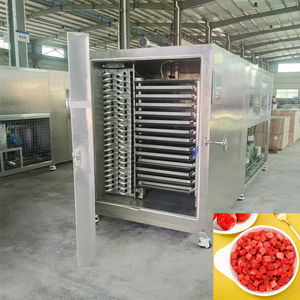 Liofilizador Industrial de Vacunas de 100 kg de Alta Precisión para Laboratorio Farmacéutico - Product Image 3