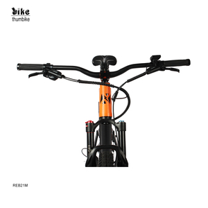 Bicicleta de montaña eléctrica personalizada para adultos, neumático grueso de 29 pulgadas para adultos, bicicleta de montaña eléctrica amortiguadora, bicicleta eléctrica <span class=keywords><strong>MTB</strong></span> E - Product Image 5