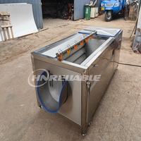 RVS Cassave Aardappel Wortelgroente Borstelrol Schiller Water Spuitende Hoge Efficiëntie 500-800kg/u Schilmachine