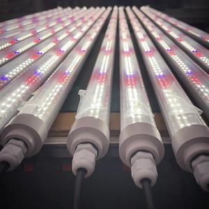 T12 18W 30W 40W 50W 60W 65W 75W 80W 85W 90W Tube lumineux LED à spectre réglable Micro-verts pour salle de culture - Product Image 5