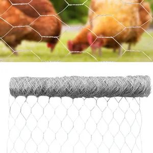 Best price high quality galvanized chicken wire mesh fence for sale/ Hexagonal iron chicken mesh for poultry farm