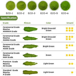 Té Matcha en Polvo Instantáneo de Grado Ceremonial Puro en Lata de 30g, Certificado Orgánico, HACCP y HALAL - Product Image 3
