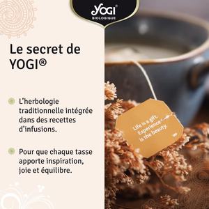 Té Herbal Orgánico <span class=keywords><strong>Yogi</strong></span> para Defensas Inmunitarias, Infusión de Equinácea, Jugo de Acerola Seca, Naranja, Mejora la Inmunidad, 12 Sobres Termosellados - Product Image 3