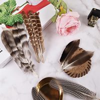 40 Plumes de Faisan Naturelles en Gros, Plumes Tachetées, 5 Styles Mixtes pour Artisanat, Bricolage, Chapeaux, Arrangements Floraux, Mariages