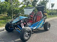 Véhicule utilitaire électrique RC en promotion, nouveau buggy, voiture UTV, kart agricole, véhicule tout-terrain, homologué CE, 2/4/6 places, couleur personnalisée