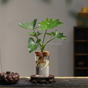 Set di 6 Bottiglie <span class=keywords><strong>in</strong></span> Vetro per Piante Idroponiche, Vasi Decorativi da Scrivania con Tappo <span class=keywords><strong>in</strong></span> Sughero per Micro-paesaggi Ecologici - Product Image 3