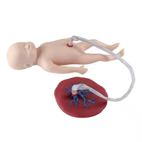 Modelo de Enfermería de ciencia médica avanzada, cuidado del cordón umbilical neonatal, modelo de enseñanza de placenta y recién nacido para escuelas y hospitales