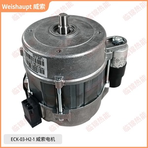 Moteurs Weishaupt originaux ECK03/H-2/1 et ECK04/A-2, tube de chaudière de haute qualité - Product Image 4