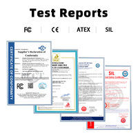Detector de Fugas de Gas Portátil HIREP, Monitor de Etileno C2H4 de Alta Precisión con Sonda Flexible, CE ATEX IP65