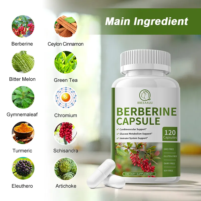 Supplément à base de plantes 120 pièces 1500mg Berbérine Capsule Pression artérielle Santé Berbérine pilule