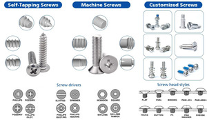 Stainless Steel <strong>Screw</strong> SS304 Pan/Flat Head Self Tapping <strong>Screw</strong> Assortment <strong>Wood</strong> <strong>Screw</strong> - Product Image 2