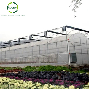 Tuyaux d'arc commerciaux Green House Tunnels multispan rapides Filet d'ombrage en acier galvanisé Cadres de <span class=keywords><strong>serre</strong></span> usagés à vendre - Product Image 3