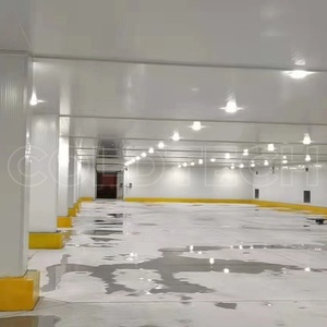 Siêu Tủ đông container di động container lạnh container đóng băng buồng lạnh lưu trữ tùy chỉnh cung cấp tiết kiệm năng lượng - Product Image 4
