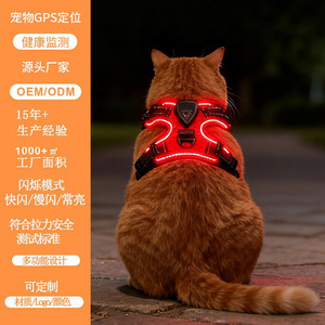 Arnés Luminoso LED para Mascotas, Talla Mediana, con Luces para Pasear Perros y Mayor Seguridad - Product Image 5