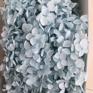 干燥绣球花保存白色永恒花天然绣球花勃艮第绣球花 - Product Image 3