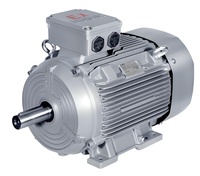 Motor de Inducción Asíncrono Trifásico Siemens Innomotics IEC 50/60Hz CA, 3000 rpm, Montaje en Pedestal, 0.37KW-355KW, Venta Directa de Fábrica