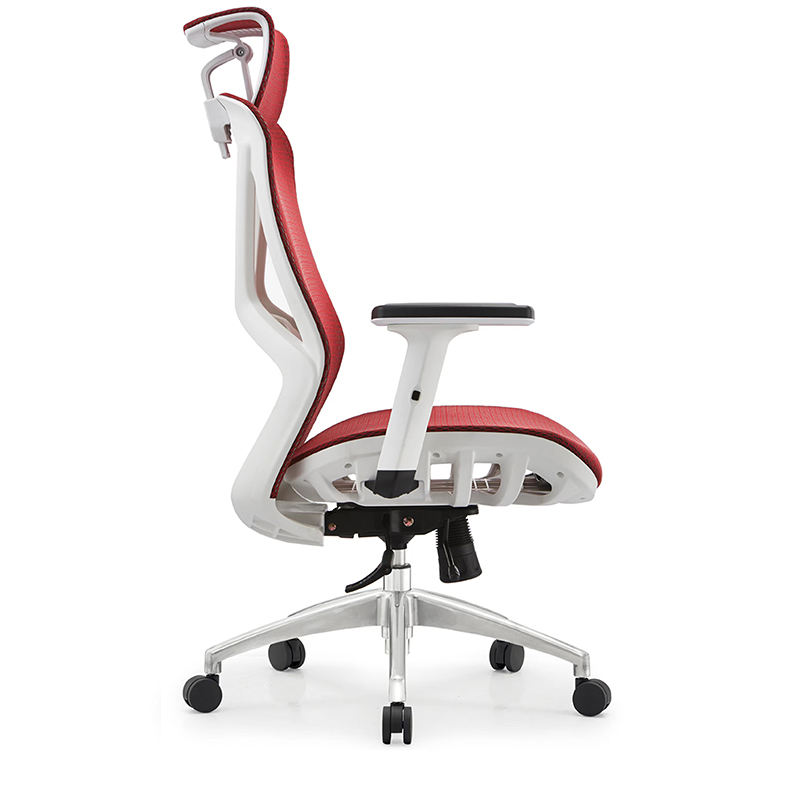 Chairs1สำนักงาน