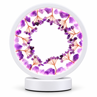Lampe Arbre à Monnaie en Cristal Naturel USB, Lumière de Table Ronde LED 3 Couleurs, Quartz Rose, Fluorite, Citrine