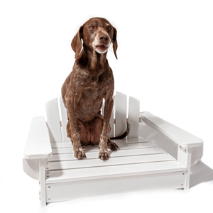 Cama <span class=keywords><strong>para</strong></span> perros elevada al aire libre <span class=keywords><strong>para</strong></span> lavar el sueño y la comodidad de la circulación de aire - Product Image 1