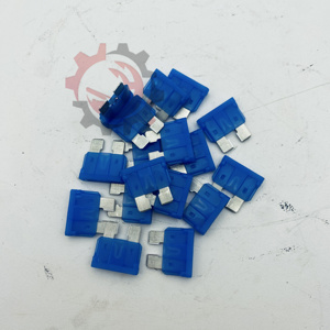 232278008 ฟิวส์ 15a 1F1 อะไหล่รถปั๊มคอนกรีต - Product Image 6