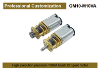 Moteur à engrenages métalliques DC miniature M10 personnalisé 1,5V-24V à aimant permanent brossé pour ventilateurs et appareils électroménagers