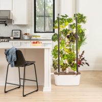 Gardyn Hydrocultuur Kweeksysteem Voor Kruiden En Groenten Beste Binnentuin Voor Huis & Kwekerij Ontwerp Bloempot Planter