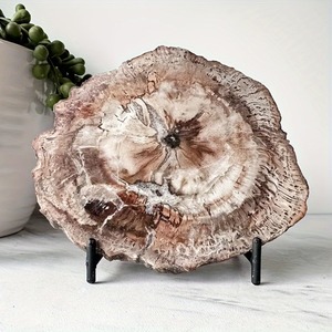 Plateau à thé et accessoires de décoration de bureau 300-400g, en pierre brute de cristal brut, sous forme de tranches de bois pétrifié, ou de dalles fossiles - Product Image 6