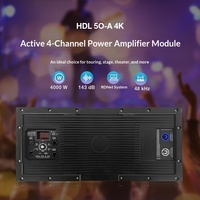 Module amplificateur haute puissance 4000W à quatre canaux avec DSP intégré pour subwoofers doubles 18 pouces, idéal pour la scène et le théâtre