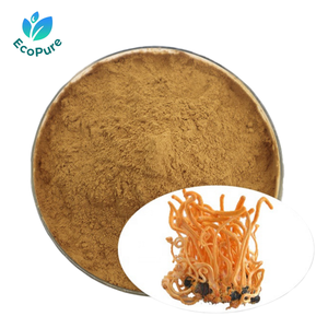 Estratto di <span class=keywords><strong>Cordyceps</strong></span> Militaris 1% Cordicepina, Polvere di Estratto di Corpo Fruttifero di Fungo Organico, Confezionato Sottovuoto, HPLC - Product Image 2