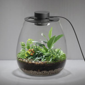 Relaxlines Home <span class=keywords><strong>Eco</strong></span> Tisch-Glasvase Landschaftsflasche Desktop-Glas-<span class=keywords><strong>Terrarium</strong></span>-Box Geometrisches <span class=keywords><strong>Terrarium</strong></span> mit Beleuchtung - Product Image 6