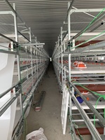 Vente directe d'usine, cage à poulets entièrement automatique à 4 étages, cage à oiseaux à 4 niveaux, poulailler pour élevage de poulets