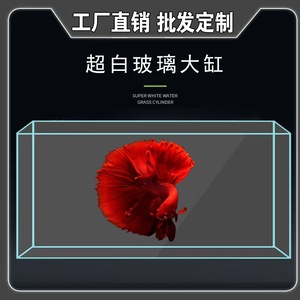 Akuarium Kaca Bening untuk Kantor atau Rumah, Akuarium Lanskap Ekologis untuk Ruang Tamu, Tersedia dalam Ukuran Besar, Sedang, dan Kecil - Product Image 4