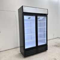 Réfrigérateur de présentation de boissons compact et économe en énergie, grande capacité, avec 2 portes vitrées, pour un refroidissement efficace et pratique.