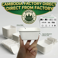 Plateau carré sans PFAS de 3,65 pouces, jetable, en bagasse, pour sauces et gâteaux, biodégradable, compostable, en canne à sucre, pour apéritifs, vente en gros